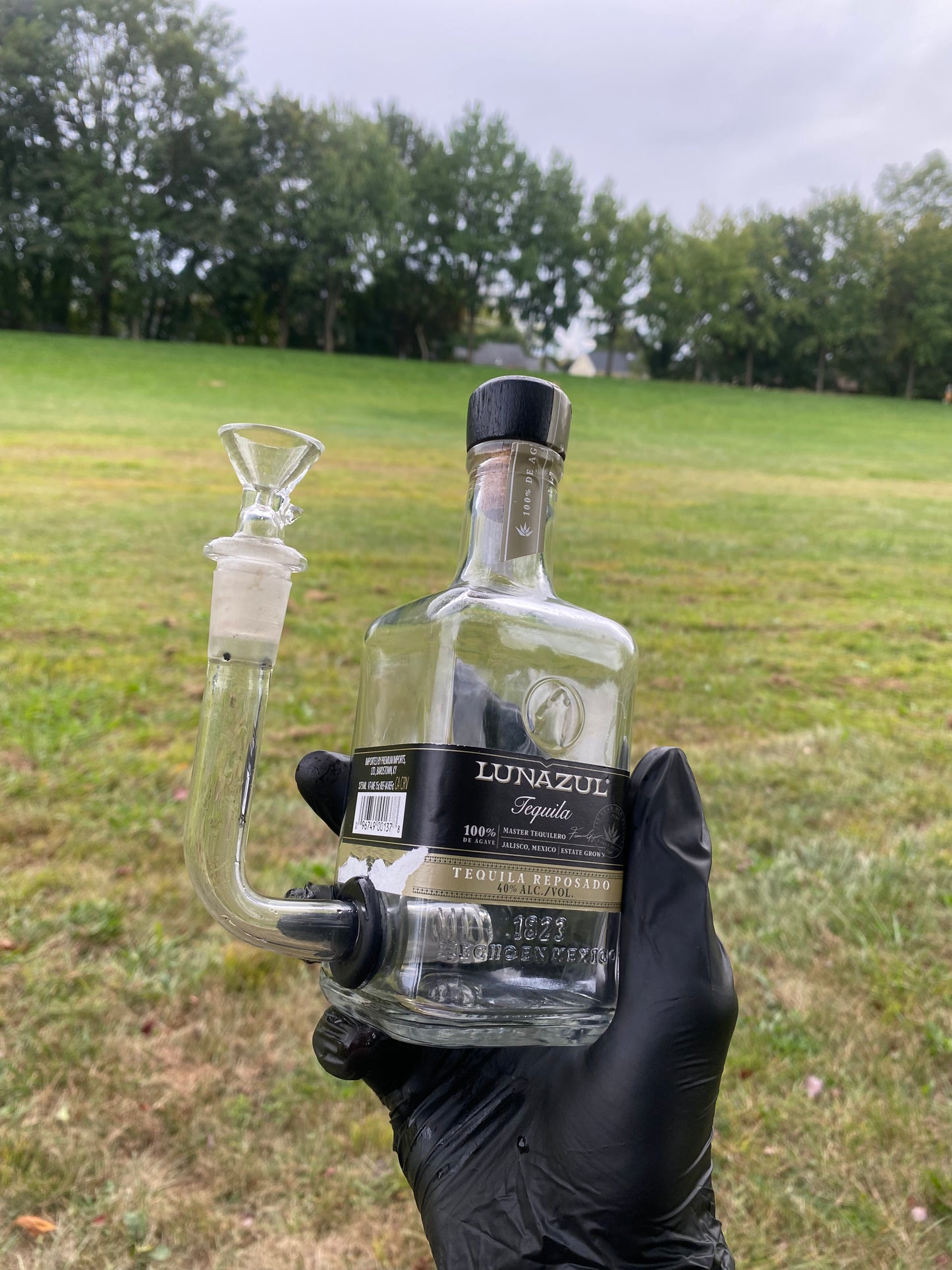 Lunazul 375 ml Glass Canvas