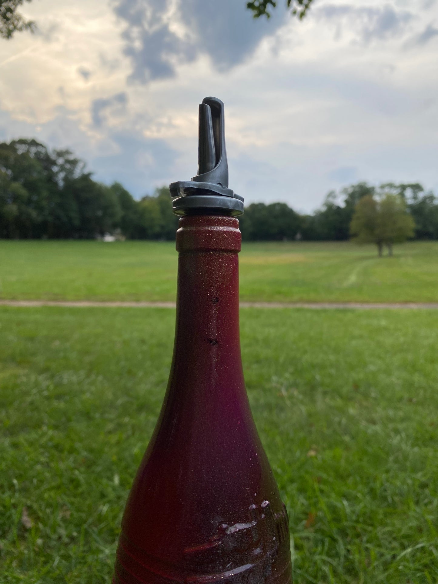 (Still Red ) 750 ml Decorative Art Bottle