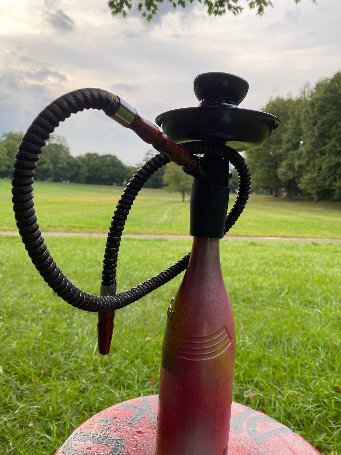 (Still Red ) 750 ml Decorative Art Bottle