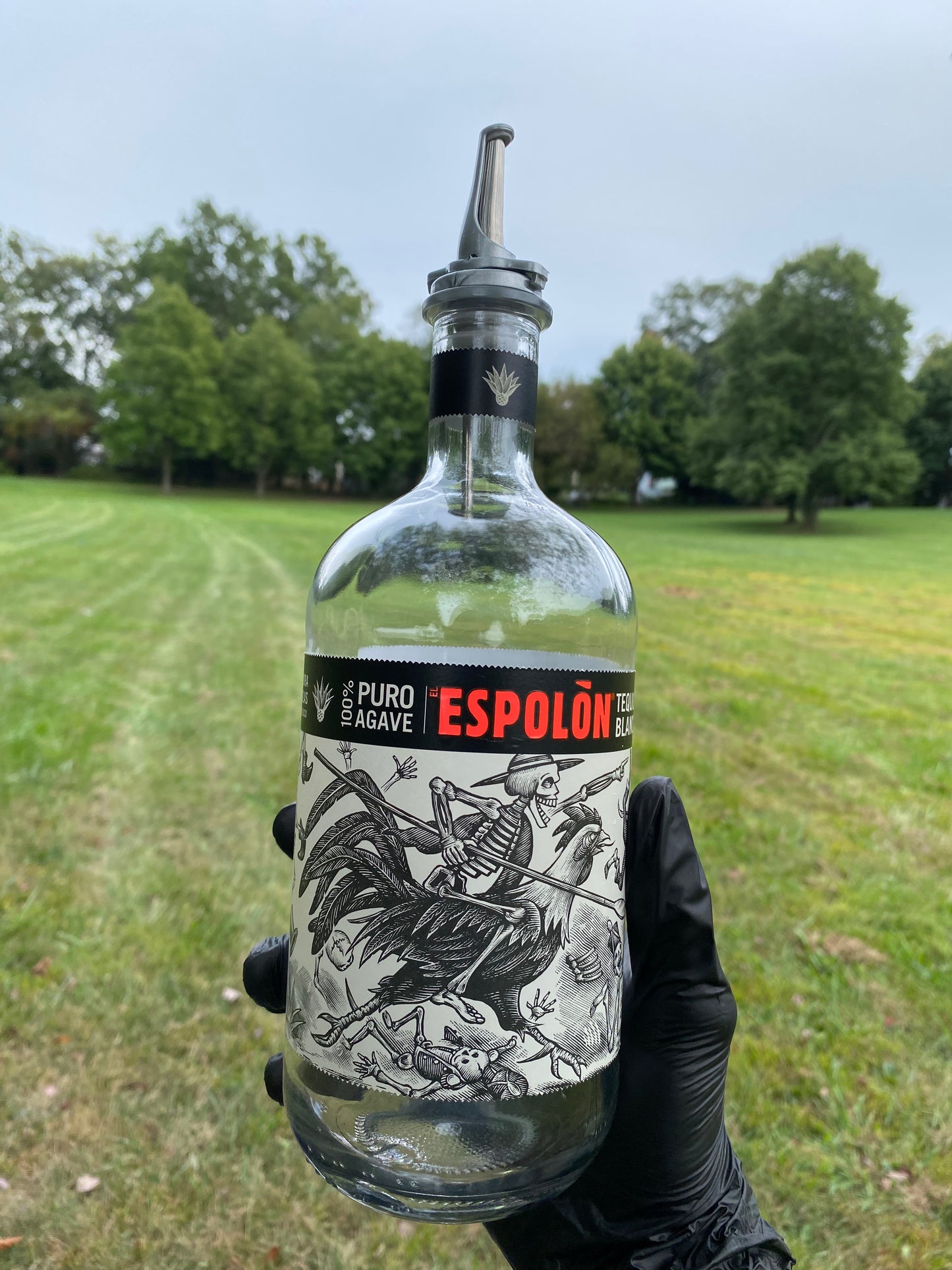 Espolòn 1L Glass Canvas